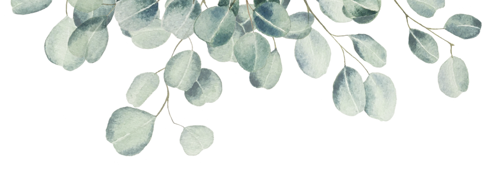 eucalyptus in header